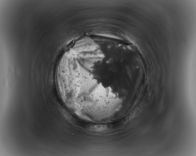 X0000086260353200704191908