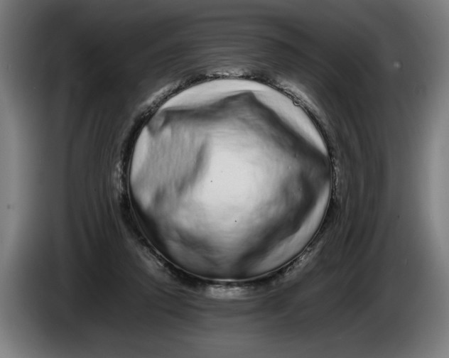 X0000086260354200704191908