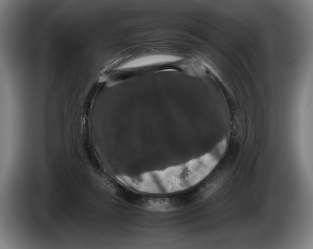 X0000086260355200704191908