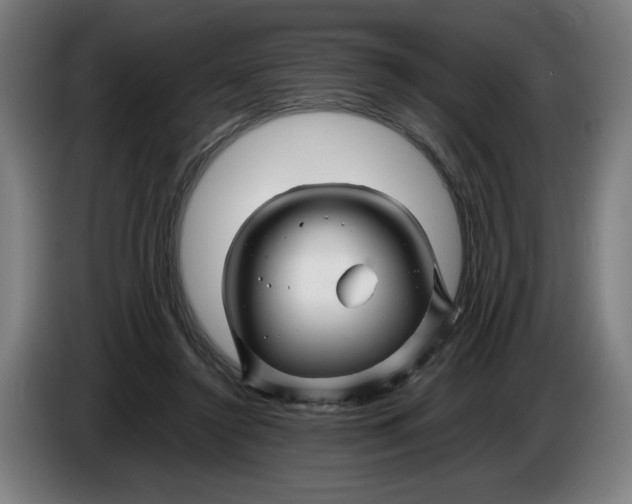 X0000086260356200704191908