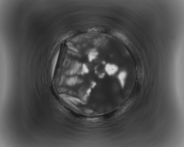 X0000086260357200704191908
