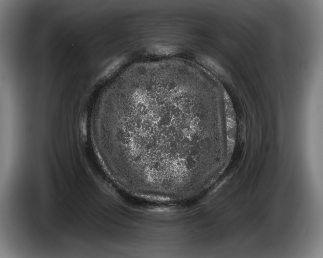 X0000086260358200704191908