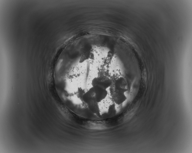 X0000086260359200704191908