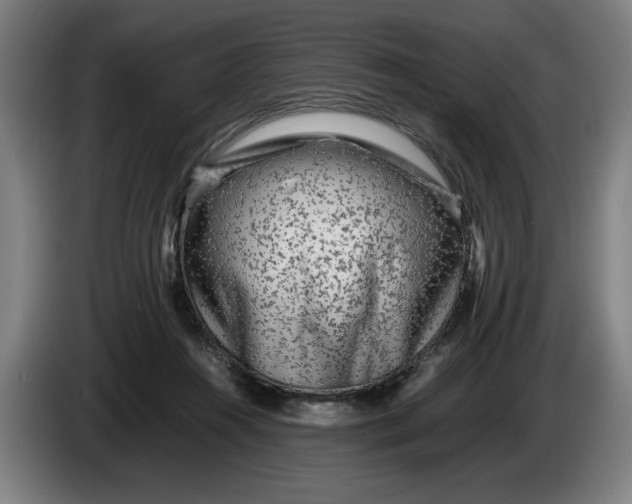 X0000086260360200704191908