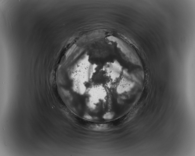X0000086260361200704191908
