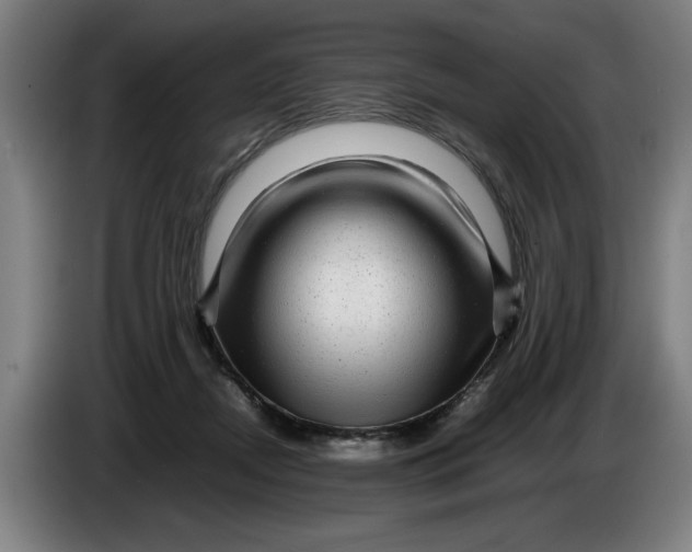 X0000086260362200704191908