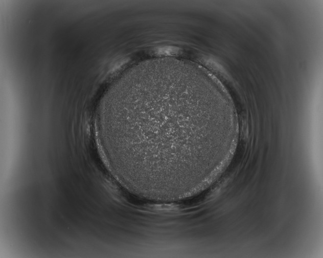 X0000086260363200704191908