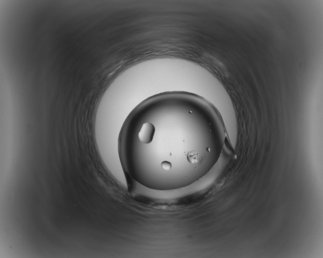 X0000086260364200704191908