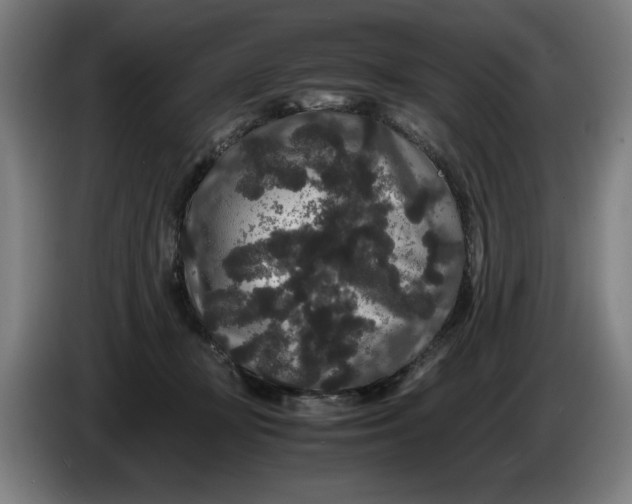 X0000086260367200704191908