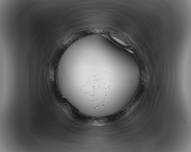 X0000086260368200704191908
