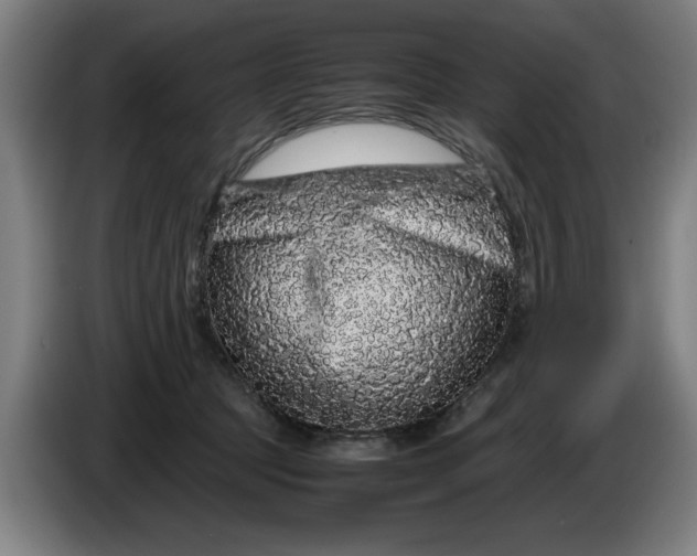 X0000086260369200704191908