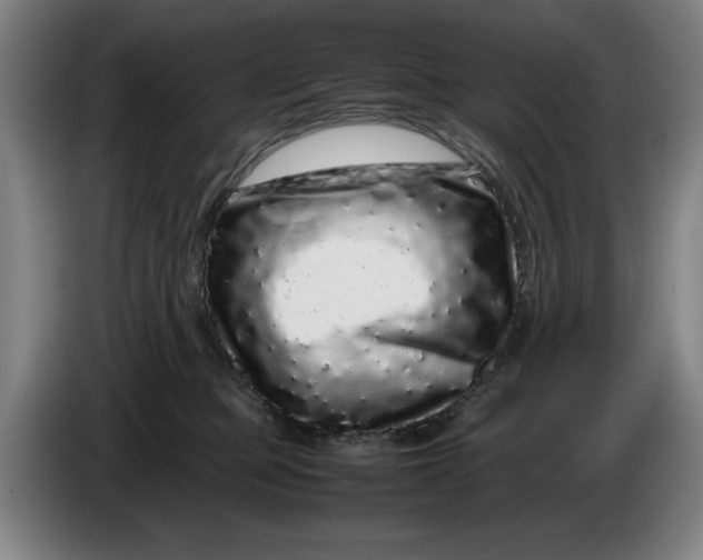 X0000086260373200704191909
