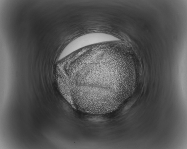 X0000086260377200704191909