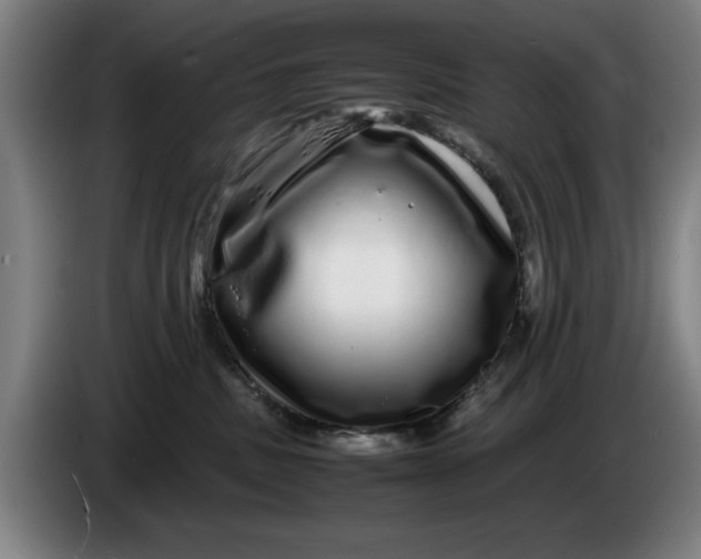 X0000086260379200704191909
