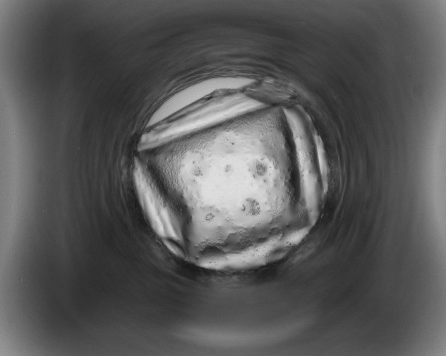 X0000086260381200704191909