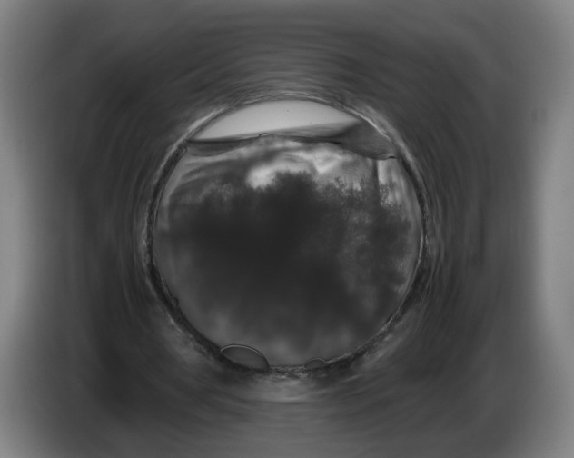 X0000086260386200704191908