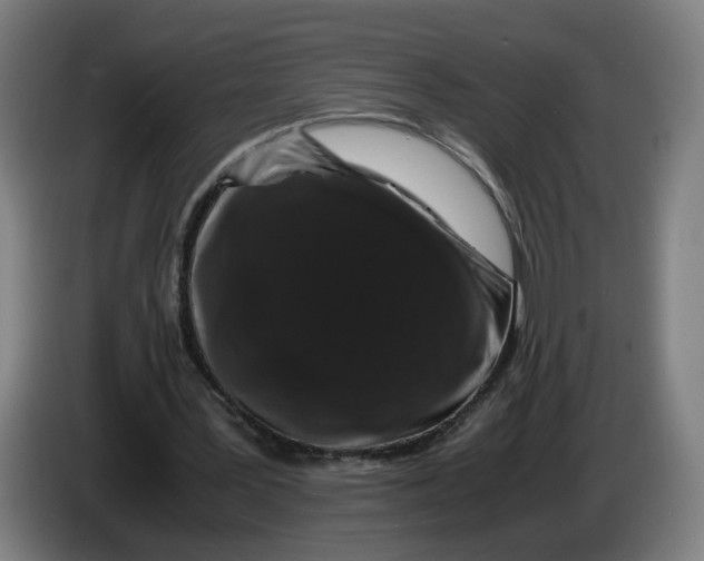 X0000086260387200704191908