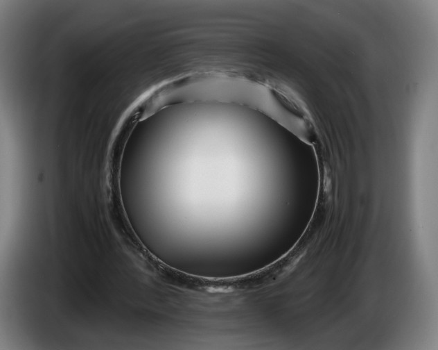 X0000086260388200704191908