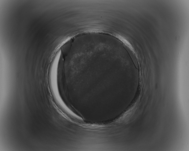 X0000086260389200704191908
