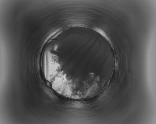X0000086260390200704191908