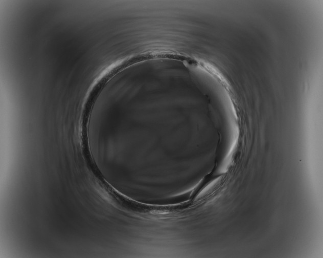 X0000086260391200704191908
