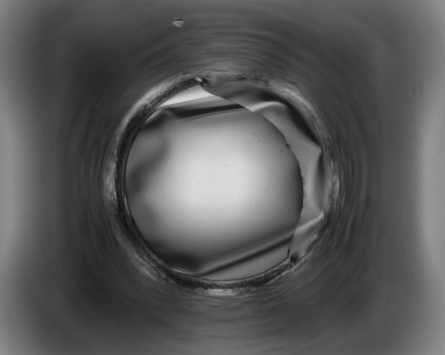 X0000086260392200704191908