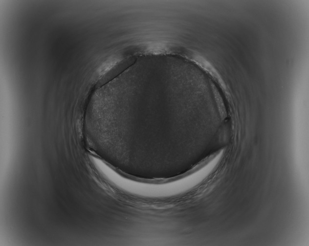 X0000086260393200704191908