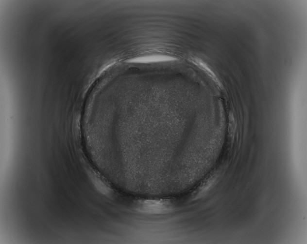 X0000086260394200704191908