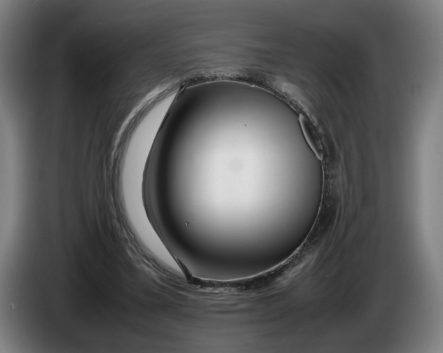 X0000086260395200704191908