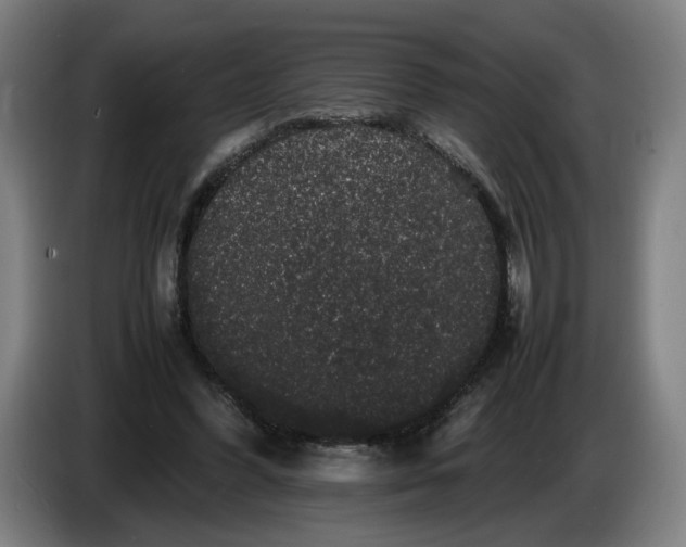 X0000086260396200704191908