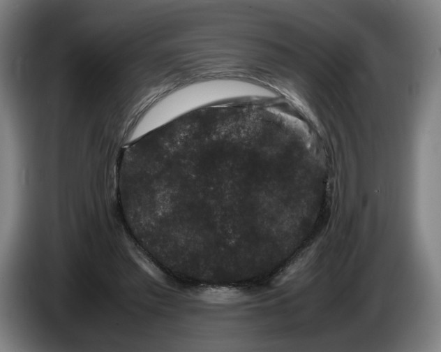 X0000086260397200704191908