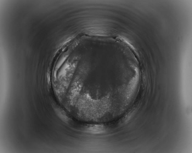 X0000086260398200704191908