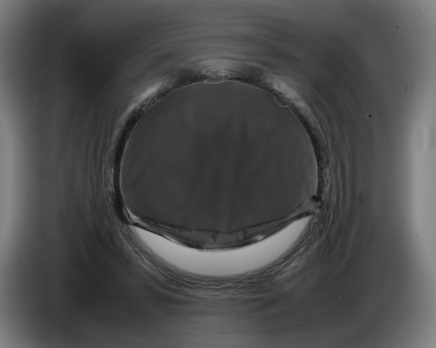 X0000086260399200704191908