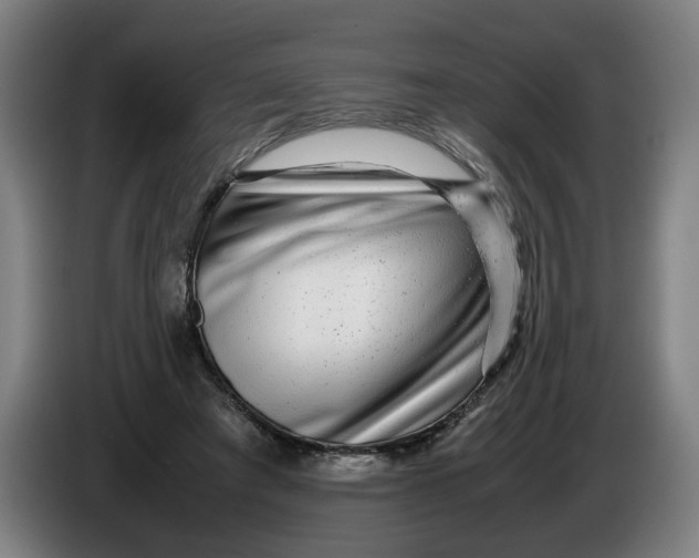 X0000086260401200704191908