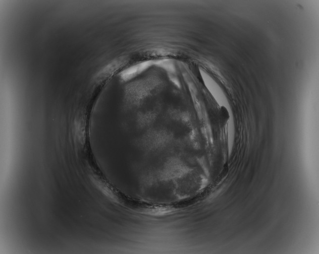 X0000086260402200704191908