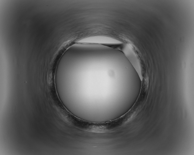X0000086260403200704191908