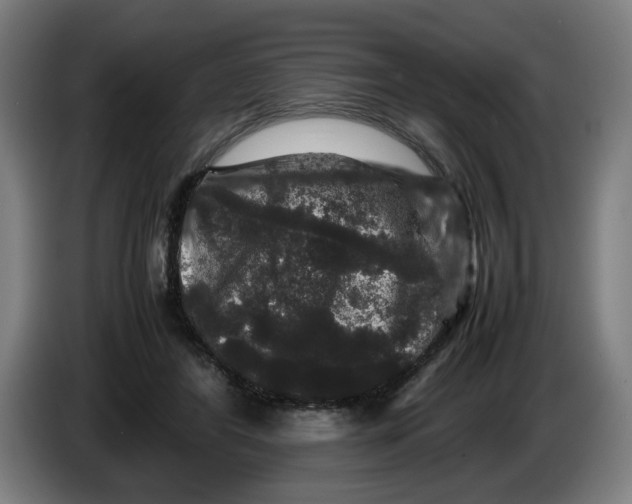 X0000086260404200704191908