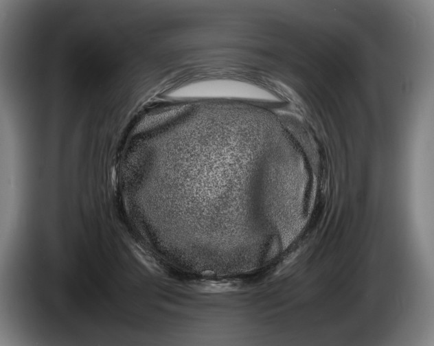 X0000086260405200704191908