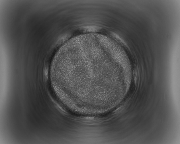 X0000086260406200704191908
