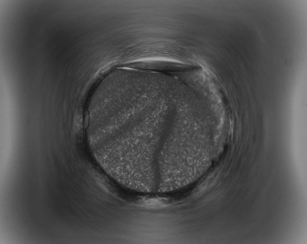 X0000086260407200704191908