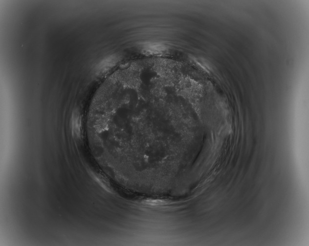X0000086260408200704191908