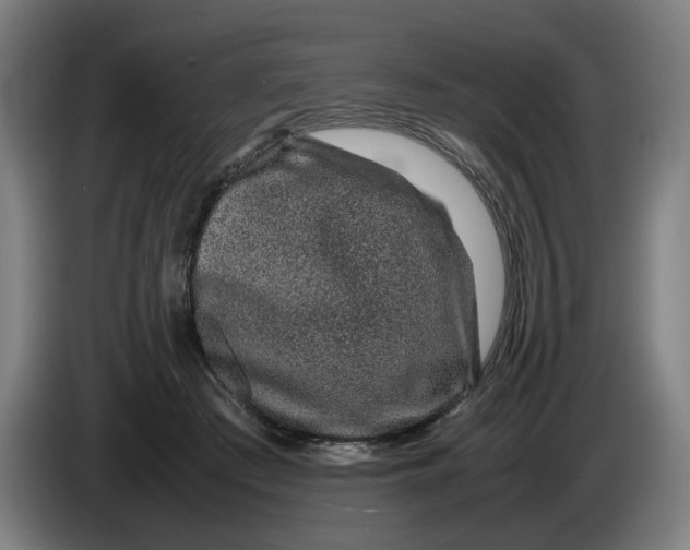 X0000086260409200704191908