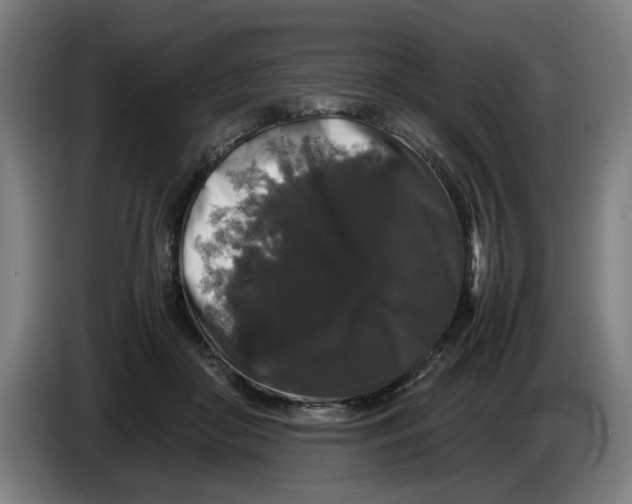 X0000086260410200704191908