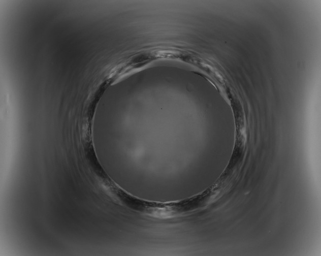 X0000086260411200704191908