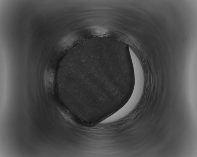 X0000086260412200704191908