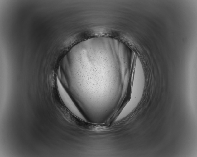 X0000086260413200704191908