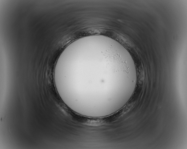 X0000086260414200704191908
