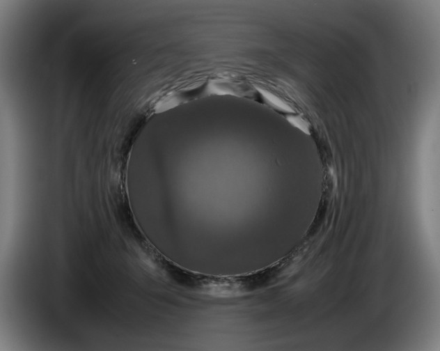 X0000086260415200704191908