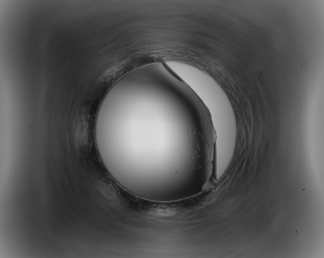 X0000086260416200704191908