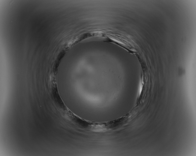 X0000086260419200704191908